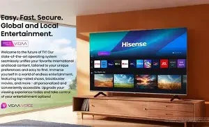 INIFINIX TV - 43S-INFTV